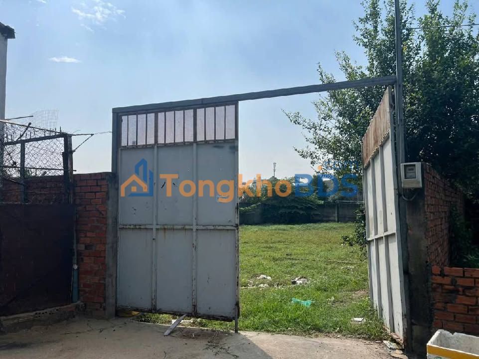 Bán Đất Hóc Môn 600m² Full Thổ Cư, Mặt Tiền Đường Tam Đông 2 - Giá Tốt