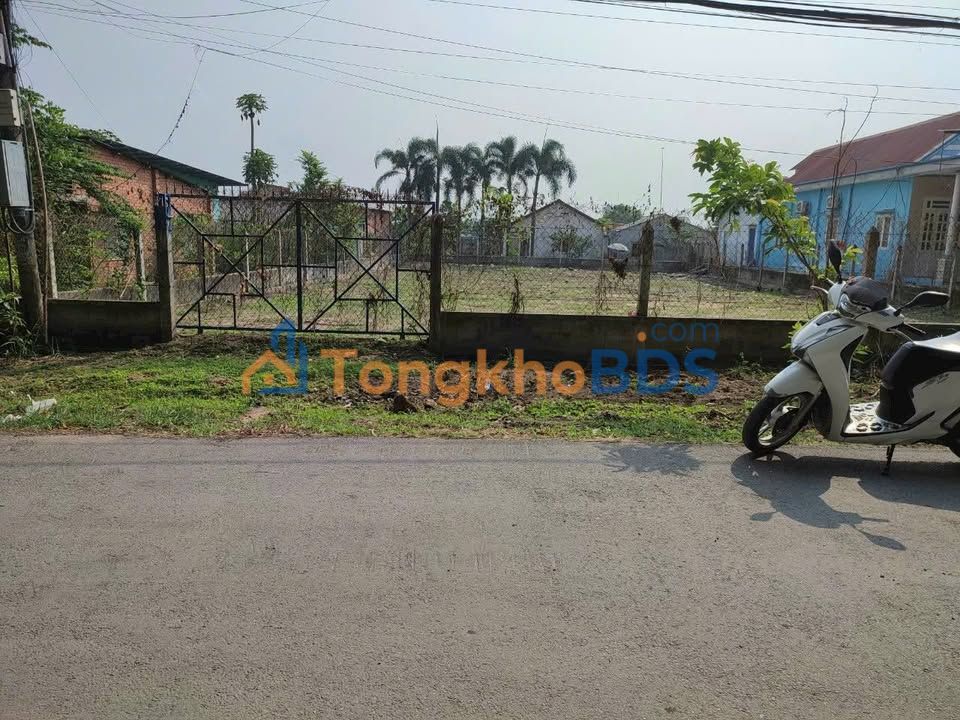 Đất Củ Chi 903m² Full Thổ Cư - Sẵn Sàng Xây Xưởng/Biệt Thự