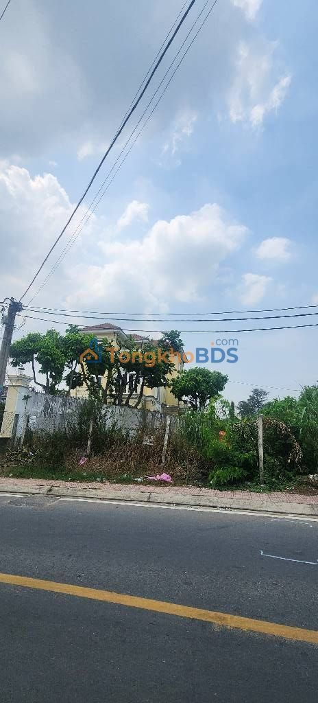 Đất Mặt Tiền Kinh Doanh Nguyễn Thị Thử Hóc Môn 137m² - Sổ Hồng Riêng