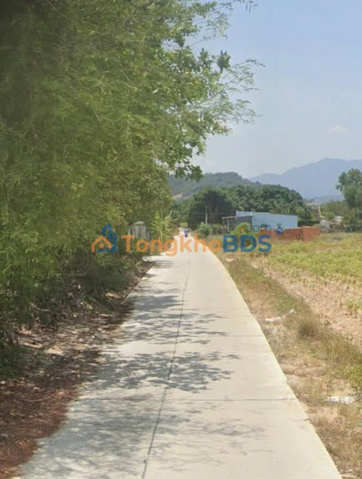 Bán Đất Cam Hiệp Nam 3300m² Full Thổ Cư - Mặt Tiền 33m Đường 30m