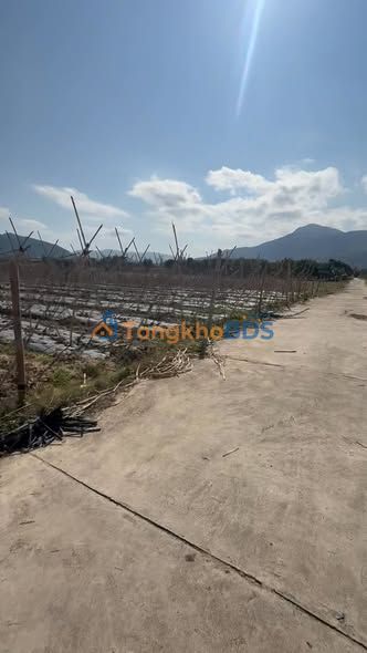 Đất Vườn Cam Hiệp Nam 5600m² - Giá Đầu Tư 3.85 Tỷ