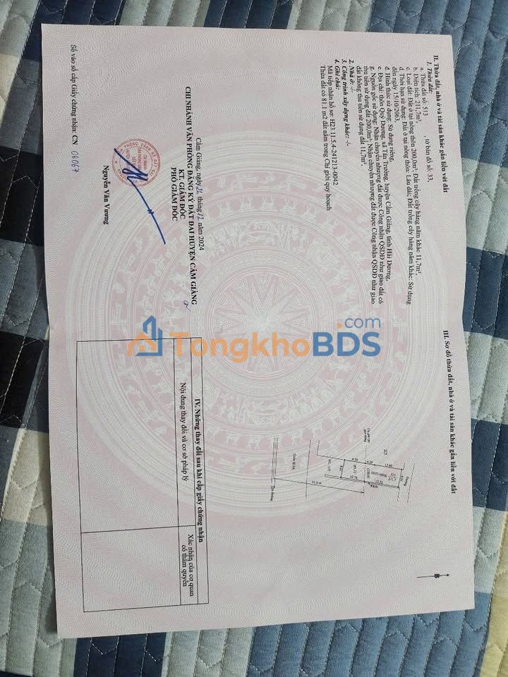 Đất Nền Mặt Tiền QL5 Cẩm Giàng 211m² - Kinh Doanh Đa Ngành