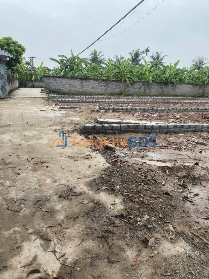 Bán Đất Nền 137m² Lạc Phượng, Tứ Kỳ, Hải Dương - Sổ Đỏ Sẵn Sàng