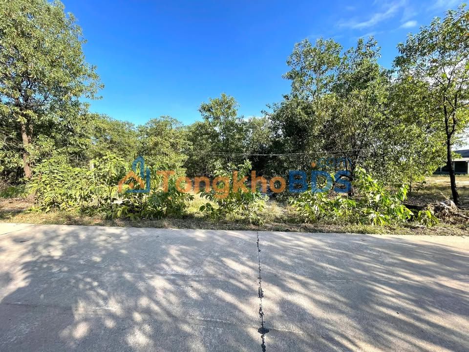 Bán Đất Rừng 5000m² Hương Trà, Huế - Giá Chỉ 2xx Triệu