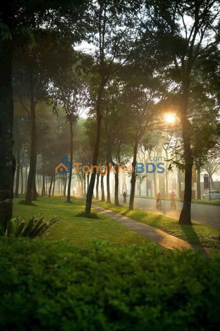 Căn hộ Alnata 85m² - 2PN, view Đại Lộ 7.2 Tỷ