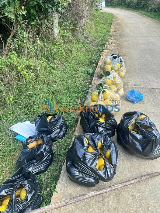 Đất nền 6000m² Lương Sơn, Hòa Bình - Sổ đỏ chính chủ, giá đầu tư