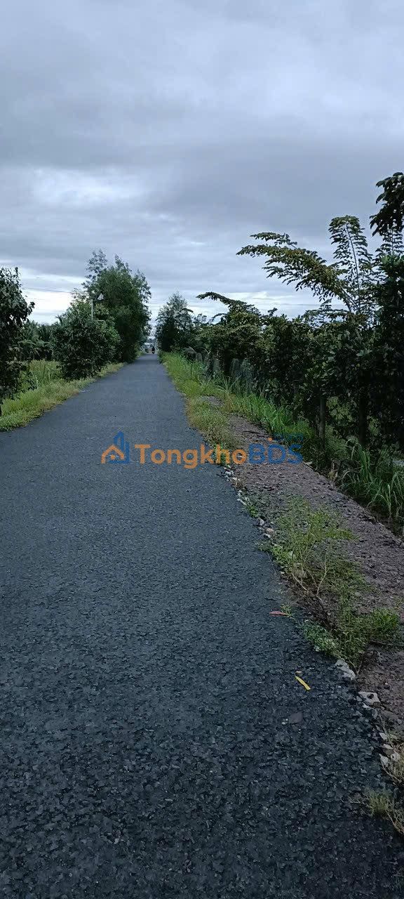 Bán 37.000m² Đất Vườn Trái Cây Long Phước, Vĩnh Long - Mặt Tiền Lộ Nhựa 5 Tấn