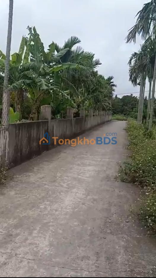 Đất nền Xã Nga Thái, Thanh Hóa 125m² - Sổ đỏ sẵn sàng, giá đầu tư 1-1.9 tỷ