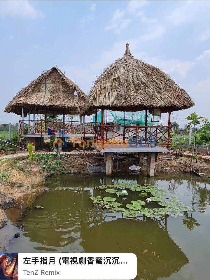 Bán Đất Vườn Tân Thạnh Đông Củ Chi 511m² Sổ Hồng Riêng - Giá 2.7 Tỷ