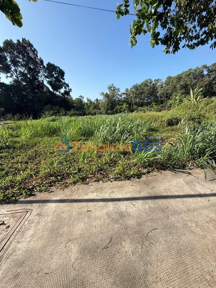 Đất thổ cư 230m² mặt tiền trục chính TP Trà Vinh - Giá 1.1 tỷ