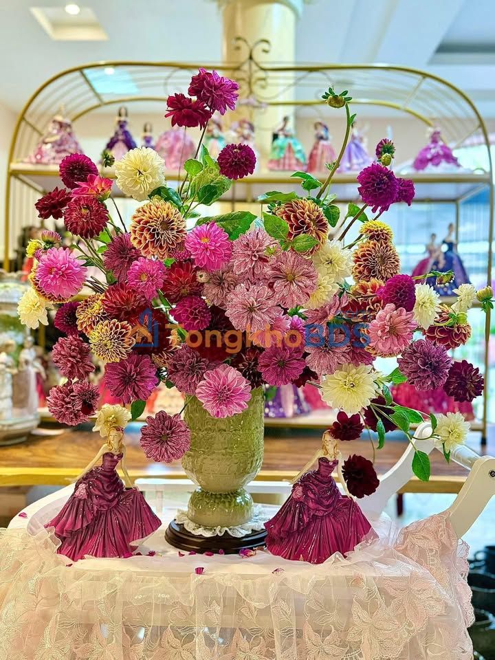 Nhà Mặt Tiền Tuyến 2 Hải Phòng 118m², 4 Tầng - Dòng Tiền 8 Triệu/Tháng