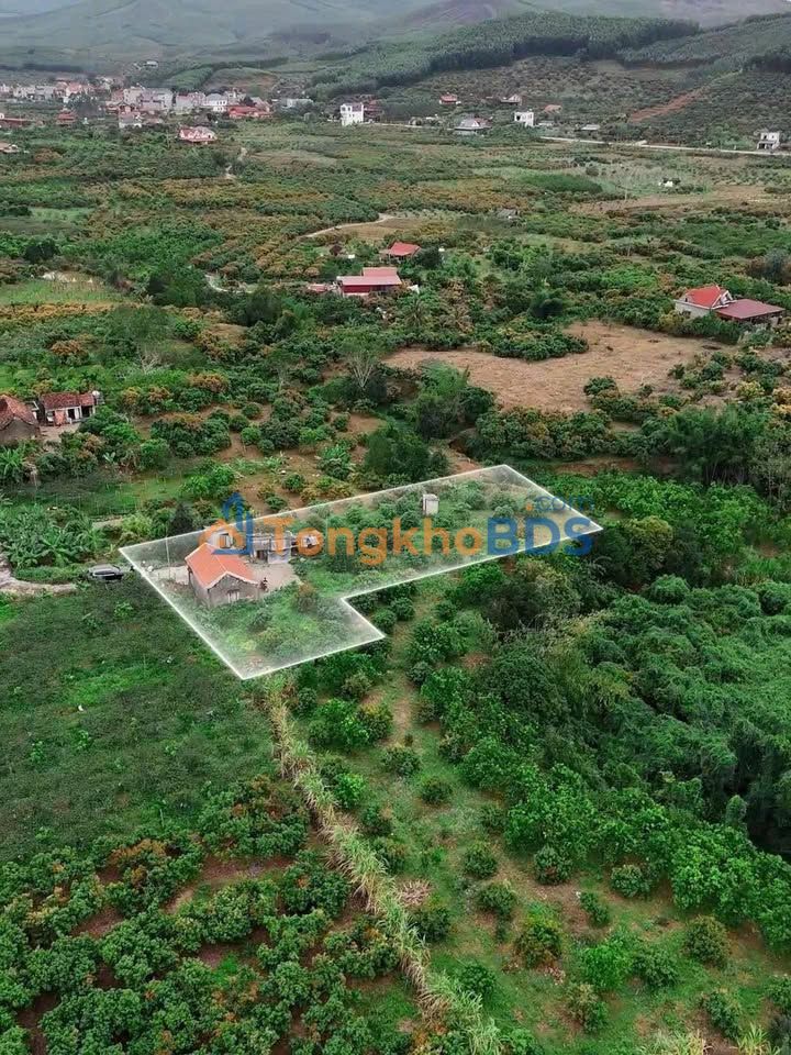 Bán Gấp Nhà Vườn 1700m² Tỉnh Bắc Giang - Sẵn Sàng Về Ở Ngay!