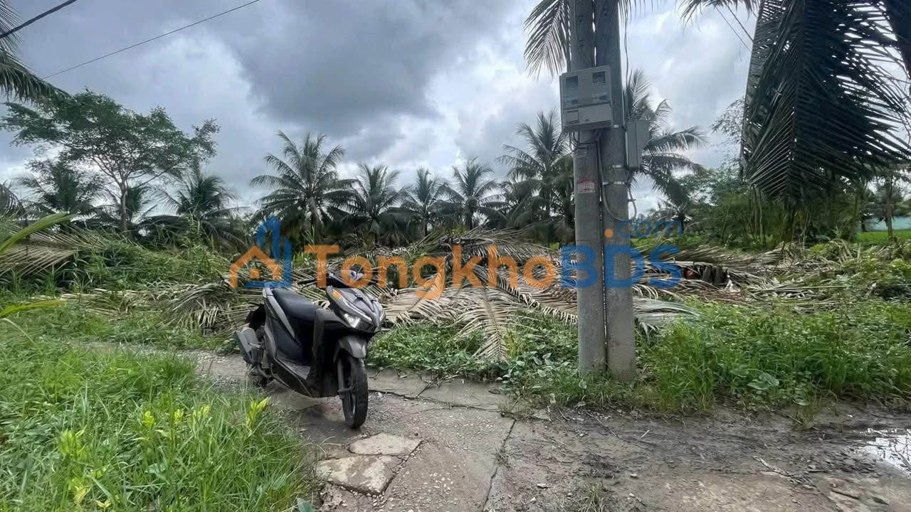 Bán Gấp Đất Vườn Sóc Trăng 555m² - Pháp Lý Cây Lâu Năm