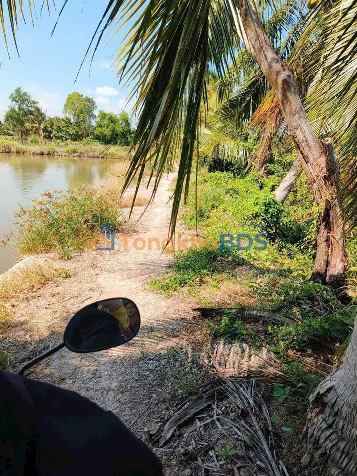 Bán Gấp 8600m² Đất Vườn Sóc Trăng - Sổ Hồng Sẵn Sàng