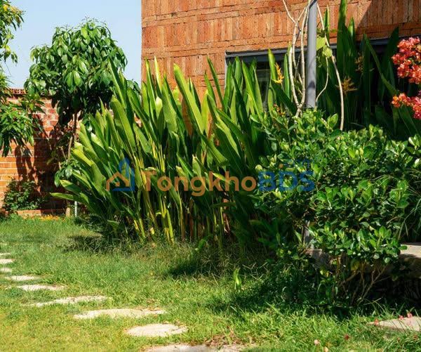 Đất Vườn 14.000m² Mặt Tiền 65m - Sổ Hồng Riêng - Giá Đầu Tư 12 Tỷ TL