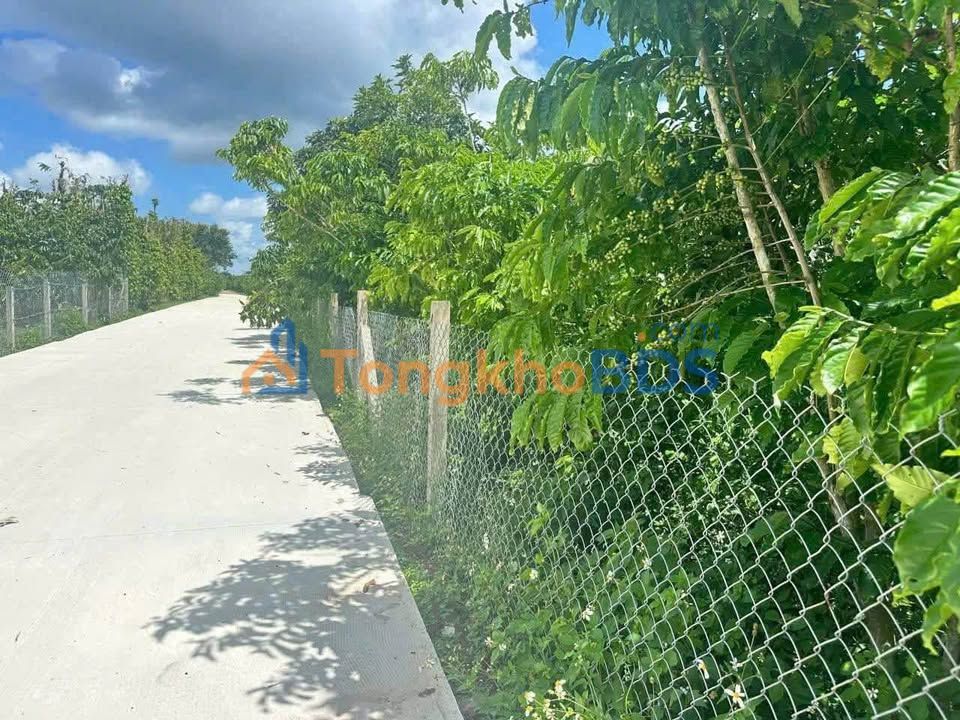 Đất Nền Bảo Lâm - 2200m² Mặt Tiền Bê Tông 30m - 2.4 Tỷ