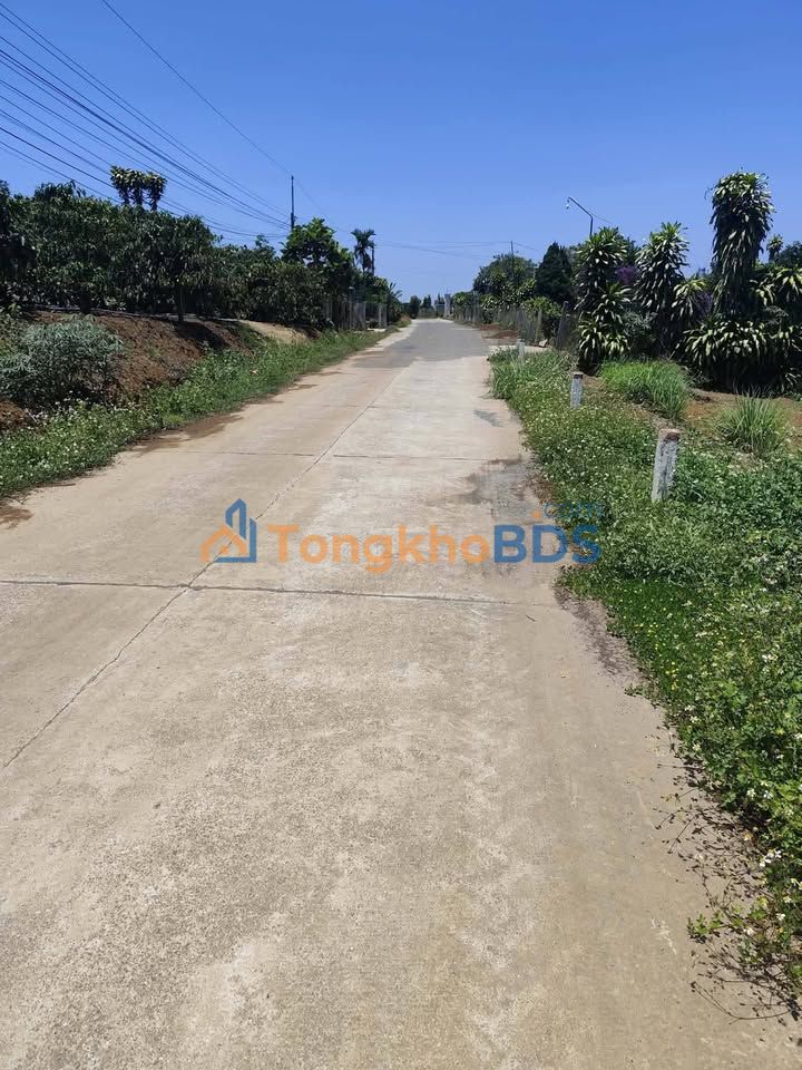 Đất Vườn 3979m² Hòa Ninh, Di Linh - Sổ Hồng Sẵn Sàng, Giá Đầu Tư 55 Tỷ