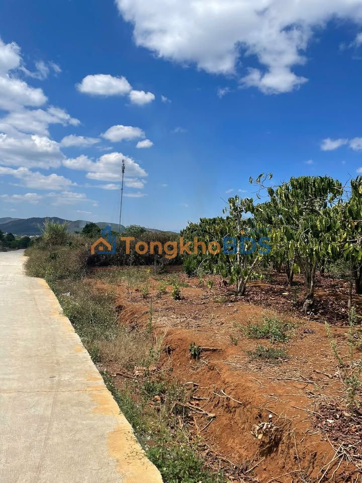 Đất Nền Xã Đông Thanh, Lâm Hà - 1785m² Sổ Đỏ, 2 Mặt Đường Lớn