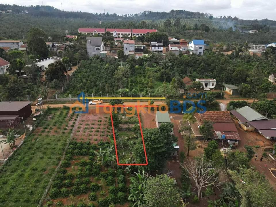 Đất Vàng Krông Nô: 240m² Mặt Tiền Nhựa, Sẵn Móng, Gần Trường Ngô Gia Tư - 6.57 Tỷ