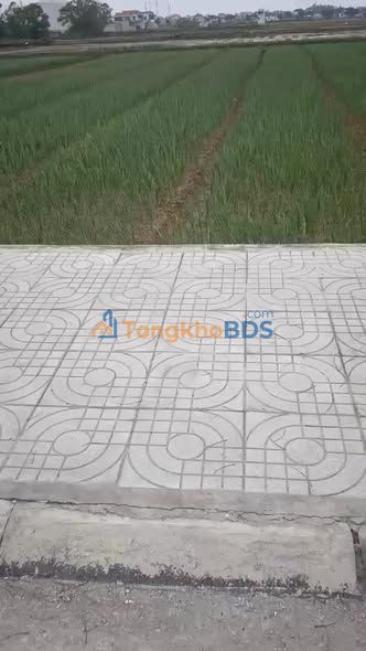 Bán đất 150m² Xã Nga Trường, Nga Sơn - Vị trí đắc địa