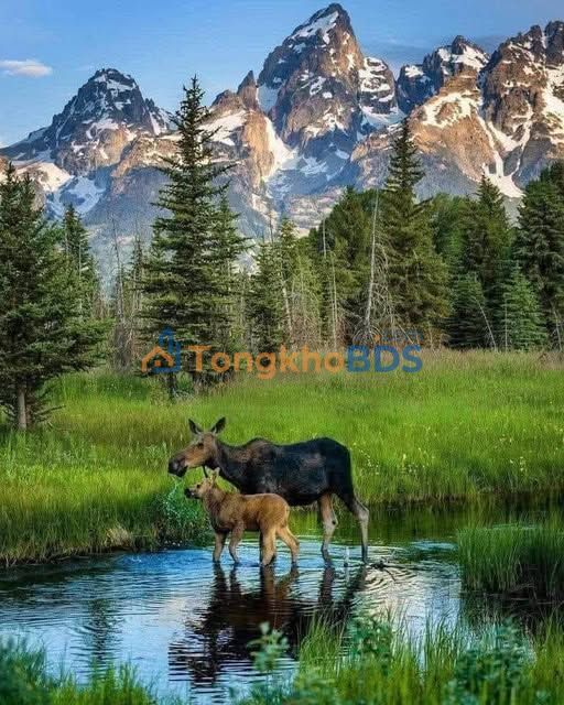 Farm 32.000m² Di Linh, Lâm Đồng - Thu nhập ổn định 10 tấn/năm