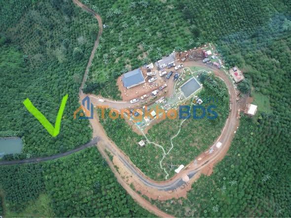 Bán đất 5000m² Tân Lâm, Di Linh - View đẹp, kế khu nghỉ dưỡng