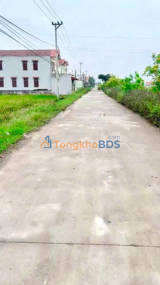 Đất Nền Kim Định, Ninh Bình - 165m² Sổ Đỏ Chính Chủ, Giá Tốt