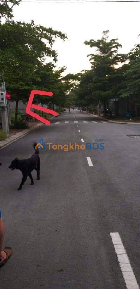 Đất Nền Richhome 1 Bến Cát 81m² Thổ Cư Sẵn Sàng Đầu Tư