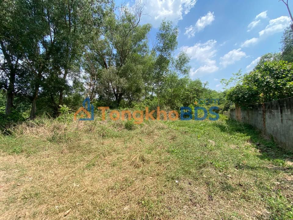 Đất Vườn 876m² Phú An Bến Cát - Giá 4.3 Tỷ - Sẵn Sàng Kinh Doanh Trọ