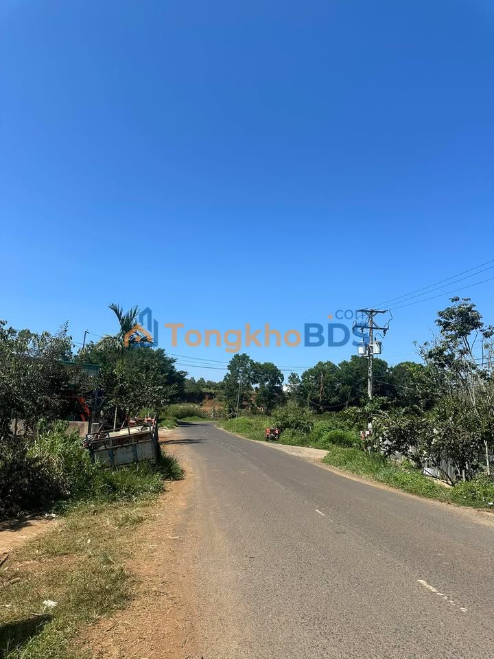 Đất thổ cư 10.000m² mặt đường Ngô Quyền, Di Linh - Giá 3.5 tỷ, lý tưởng làm kho xưởng