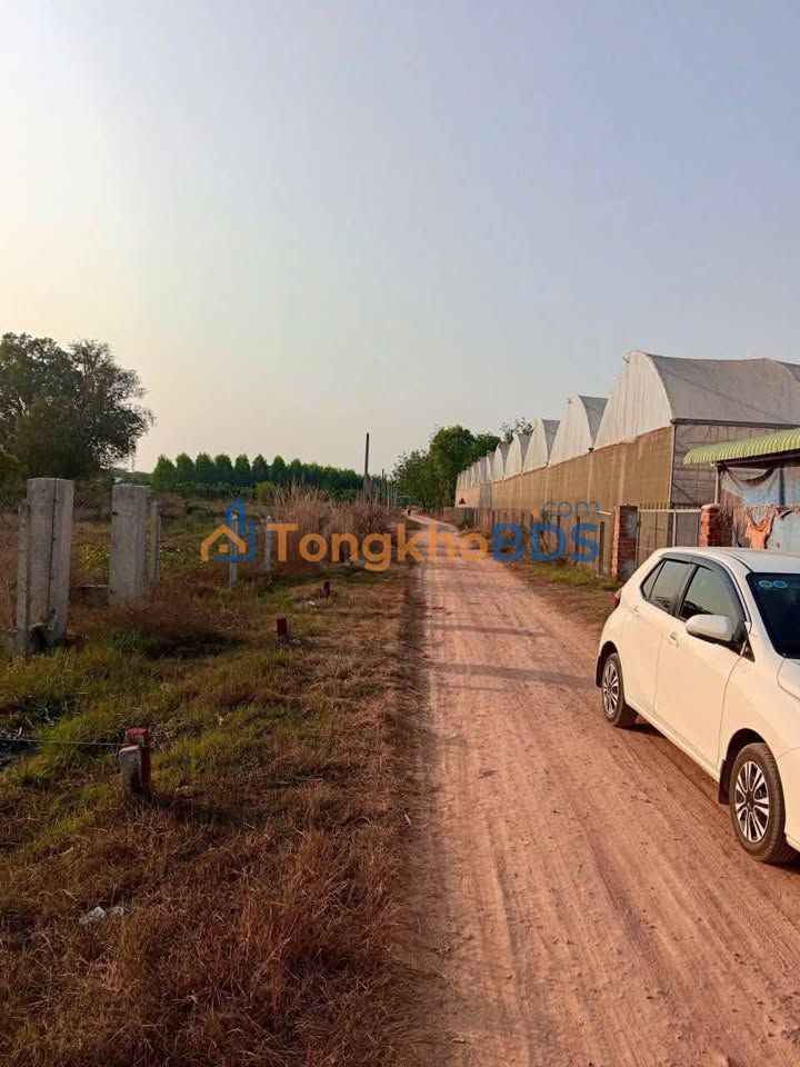 Bán Đất Tân Biên 160m² - Mặt Tiền Đường Ô Tô, Sổ Thổ Cư