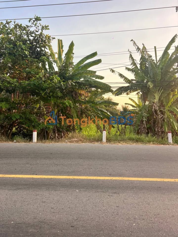 Đất Mặt Tiền QL 57B, Bình Đại, Vĩnh Long - 552m², Ngang 12m, 2.22 Tỷ