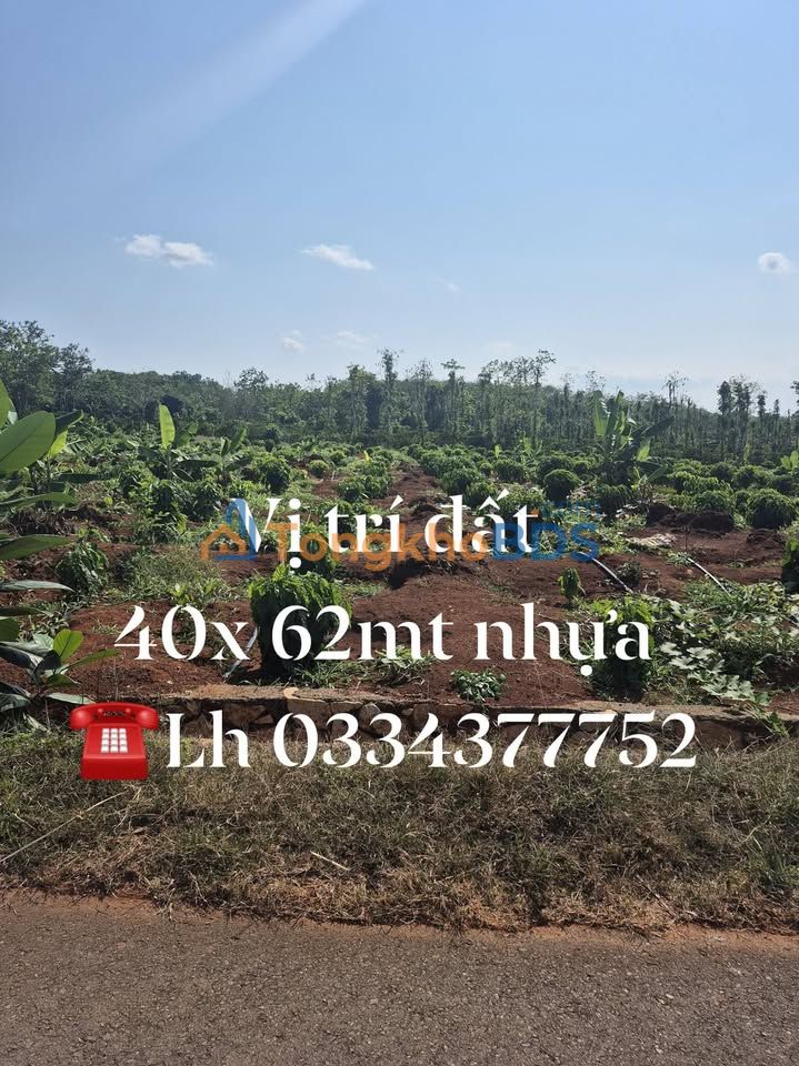 Đất Vườn Láng Lớn Châu Đức 2226m² - Giá Đầu Tư 140 Tỷ