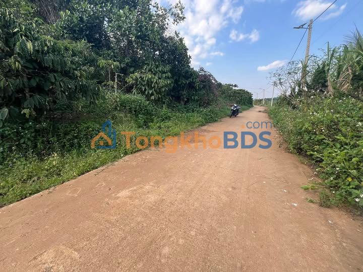 Đất Nền Di Linh 1000m² Mặt Tiền 15m - Sẵn Sàng Xây Dựng