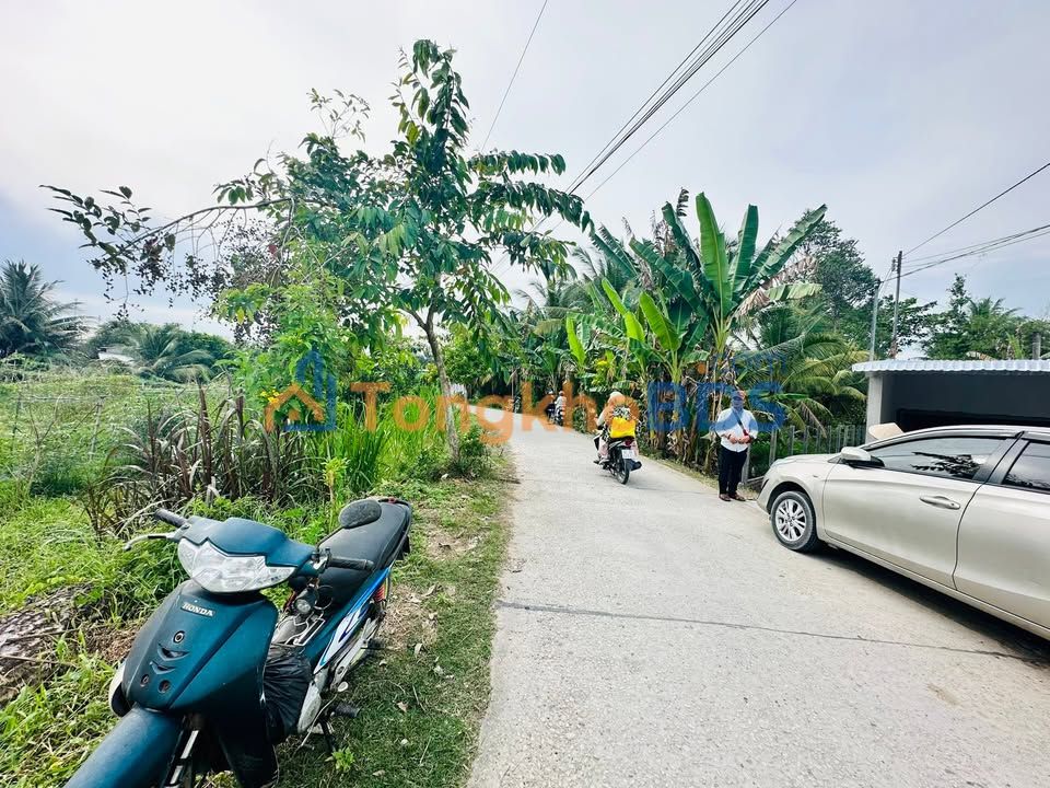 Đất Vàng Vĩnh Long - Mặt Tiền Tỉnh Lộ 902, 3000m² Giá 4 Tỷ