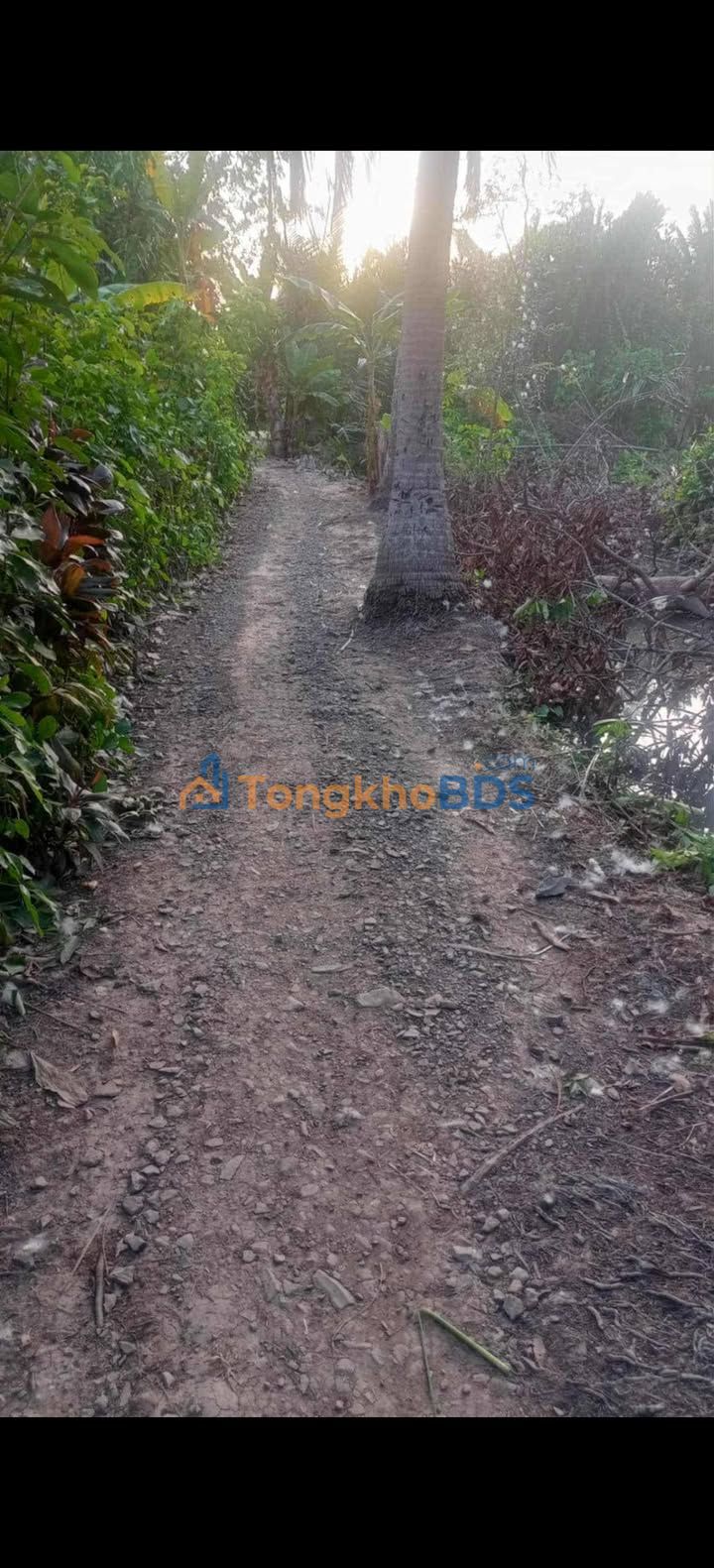 Bán Đất Vĩnh Long 3100m² - Sổ đỏ sẵn, Dân cư đông đúc