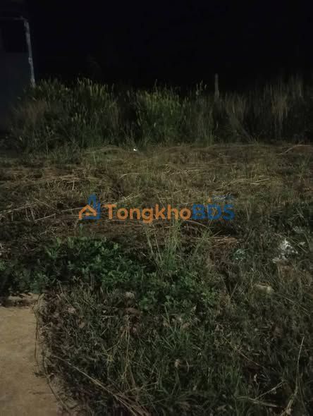 Đất Vàng Quốc Lộ 14 Krông Búk - 120m² Sổ Hồng Vuông Vắn - Giá 3 Tỷ