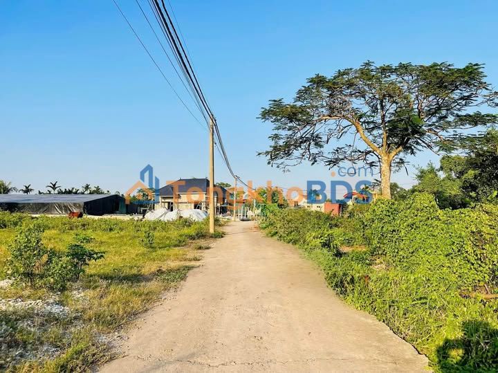 Đất nền Kim Sơn 370m² - Sổ hồng chính chủ, đường ô tô thông thoáng