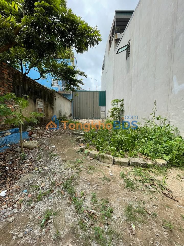 Đất nền Thành Mai - Quảng Thành 50m² - Vị trí đắc địa, tiềm năng sinh lời cao