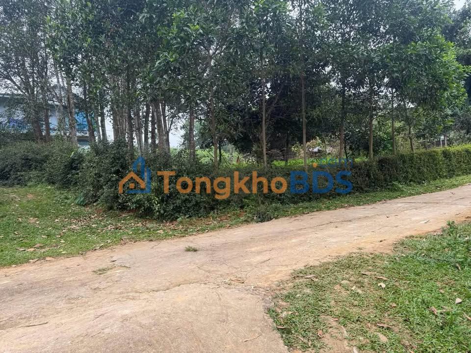 Bán Đất 266m² Đường Hàm Nghi, Hương Khê, Thanh Hóa - Sổ Đỏ Rõ Ràng