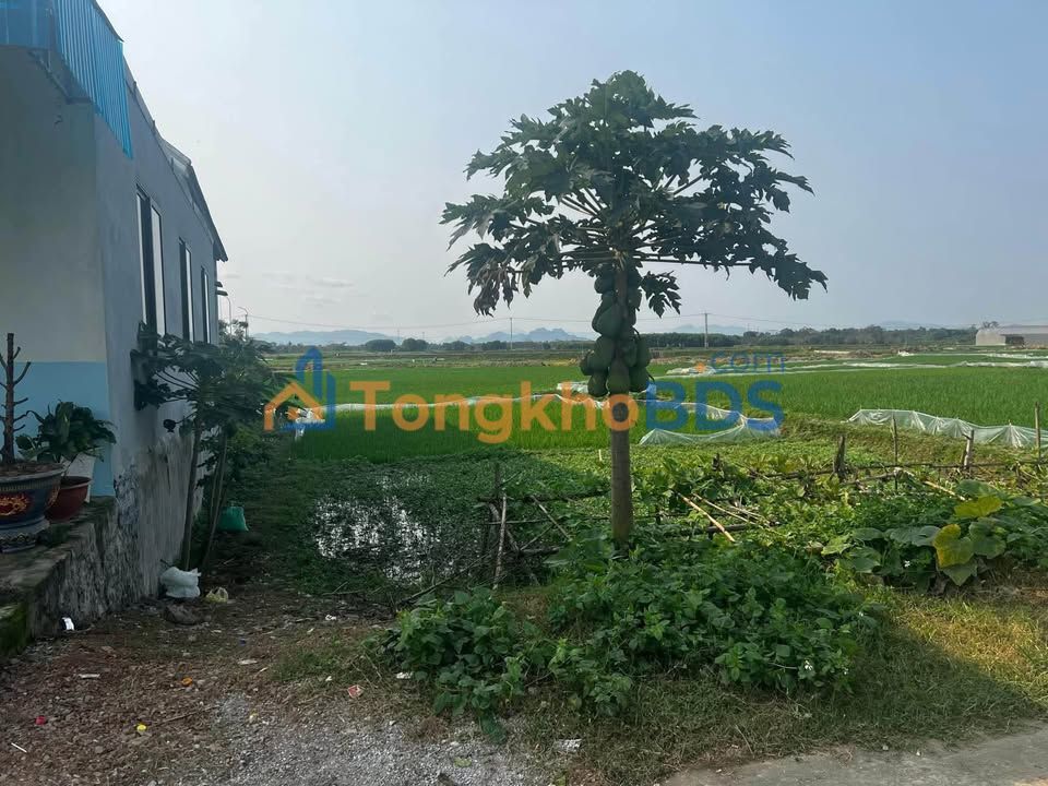 Bán Đất Thọ Xuân 180m² - Mặt Tiền Đường 12m Gần THPT Thọ Xuân