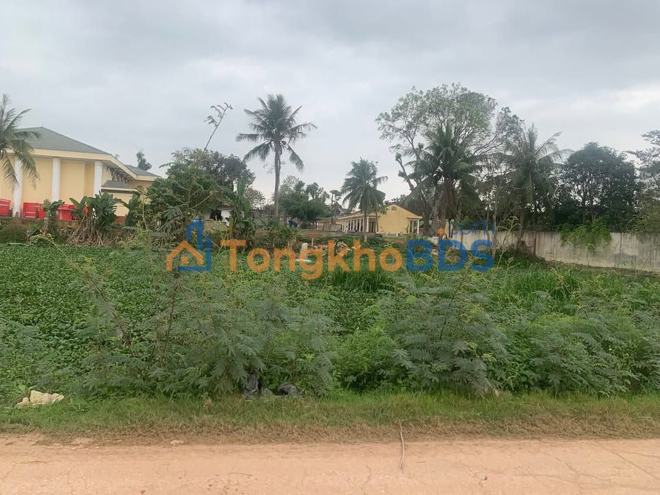 Bán đất thổ cư 330m² Triệu Sơn, Thanh Hóa - Sổ đỏ sẵn sàng