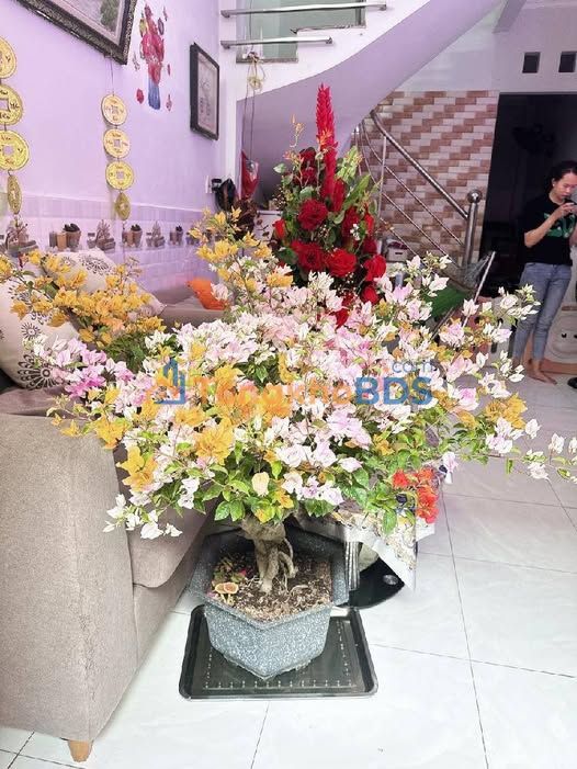 Nhà Phố Cao Lỗ, Q8 - 3.8 Tỷ, 35m², Sổ Hồng Riêng, Sẵn Sàng Ở Ngay