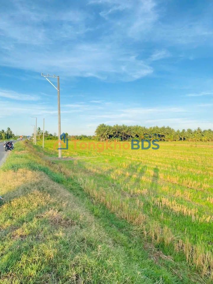 Bán Gấp Đất Nền 170m² Tỉnh Lộ 912B, Tiểu Cần, Trà Vinh - Giá 520 Triệu