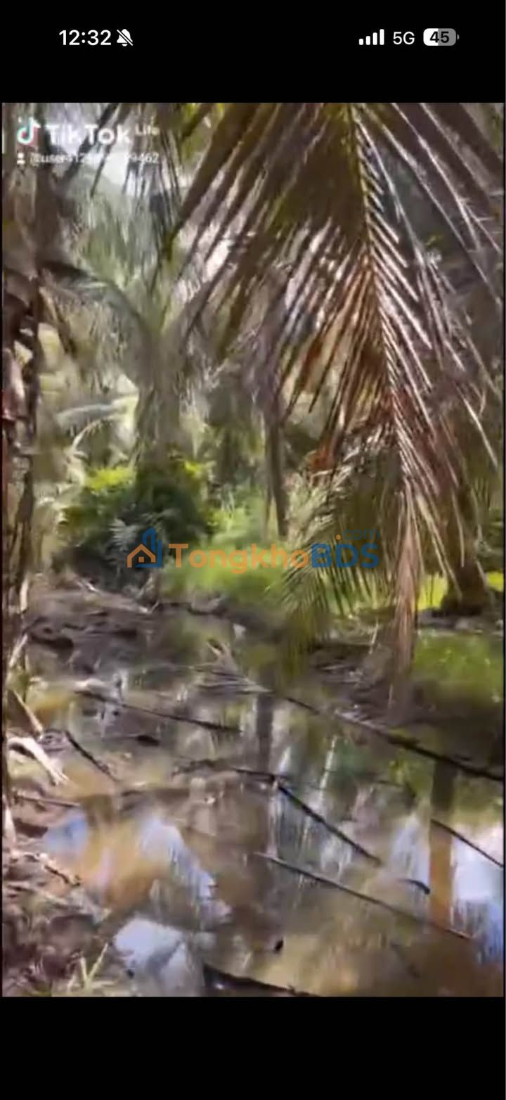 Bán đất vườn Trà Vinh 2500m² mặt tiền bờ kinh - Đầu tư sinh lời