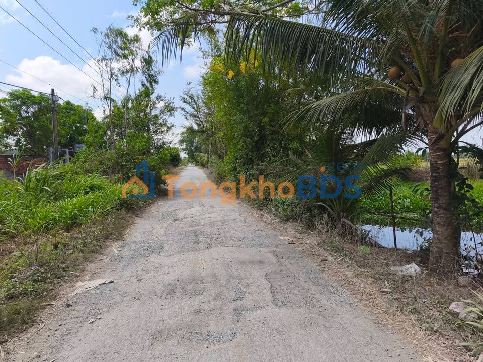 Bán Đất Vườn Trà Vinh 3800m² Mặt Kênh - Gần ĐH Trà Vinh