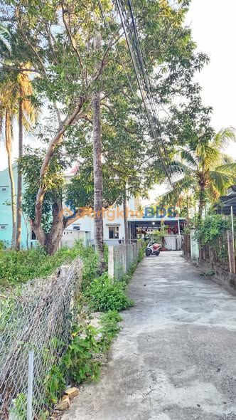 Bán Đất Sông Cầu 98m² - Vị Trí Vàng, Sẵn Sàng Xây Nhà Ở & Đầu Tư