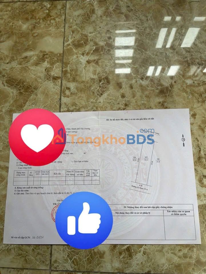 Bán Gấp Đất Vàng An Dương Vương, TP Hải Dương - 81m² Sổ Đỏ, Giá Đầu Tư