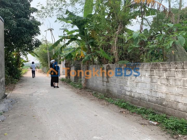 Bán đất Tiền Hải 150m² - 800 triệu, xe tải thông, gần đường đôi Vũ Trọng