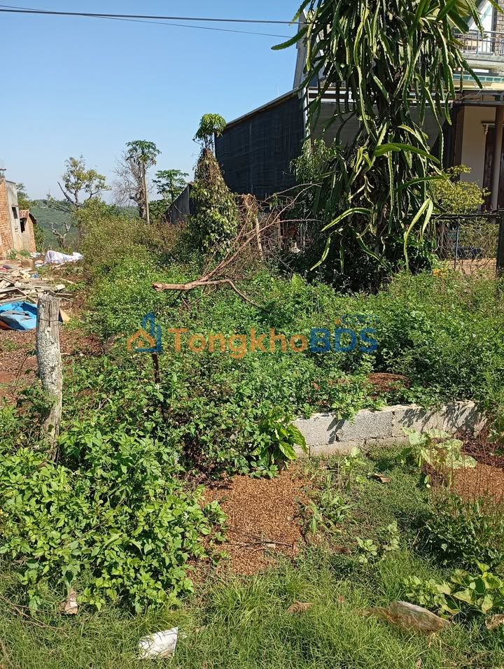 Đất Nền Mặt Tiền Nhựa 250m² Xã Đinh Lạc, Di Linh - Giá Tốt 950 Triệu